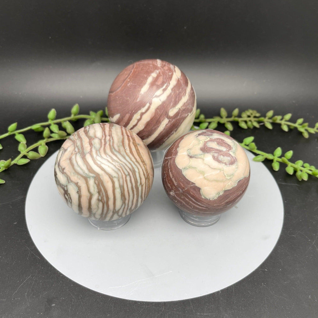 Red Zebra Jasper Spheres - Natural Collective LLC