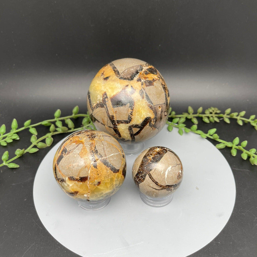 Septarian Spheres - Natural Collective LLC