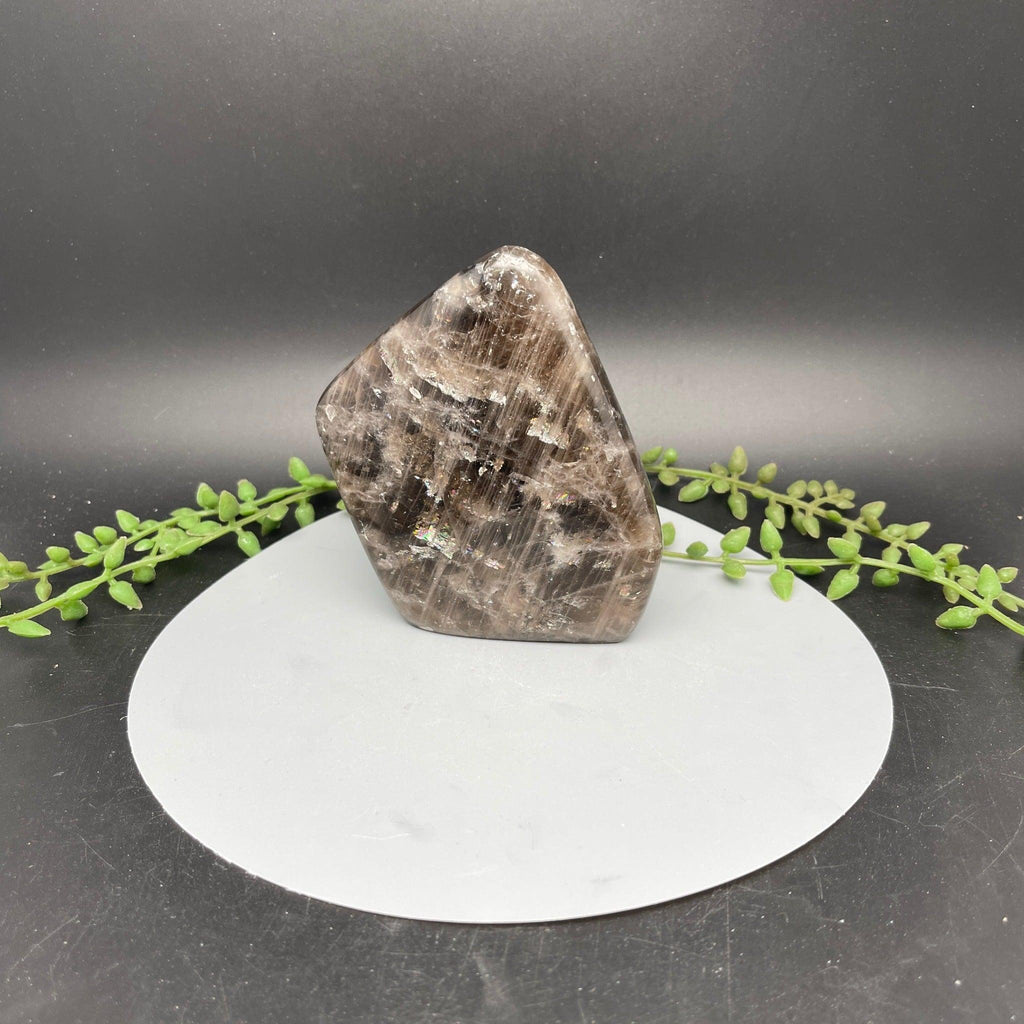 Smoky Quartz Freefrom - Natural Collective LLC