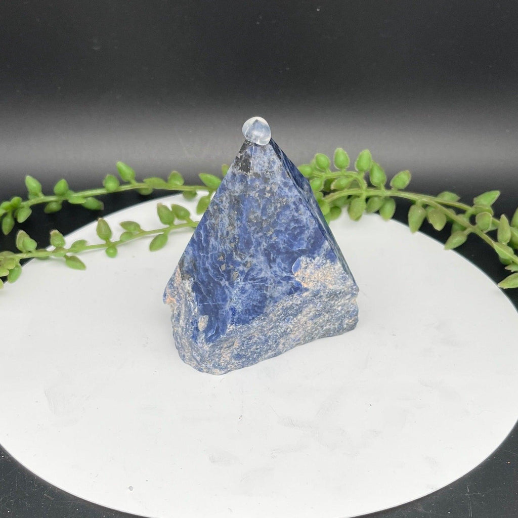 Sodalite Polished Tops - Natural Collective LLC