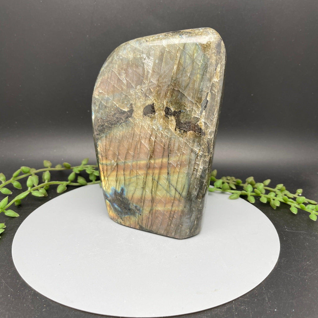 Sunset Flash Labradorite Freeform - 1.430 kg - Natural Collective LLC
