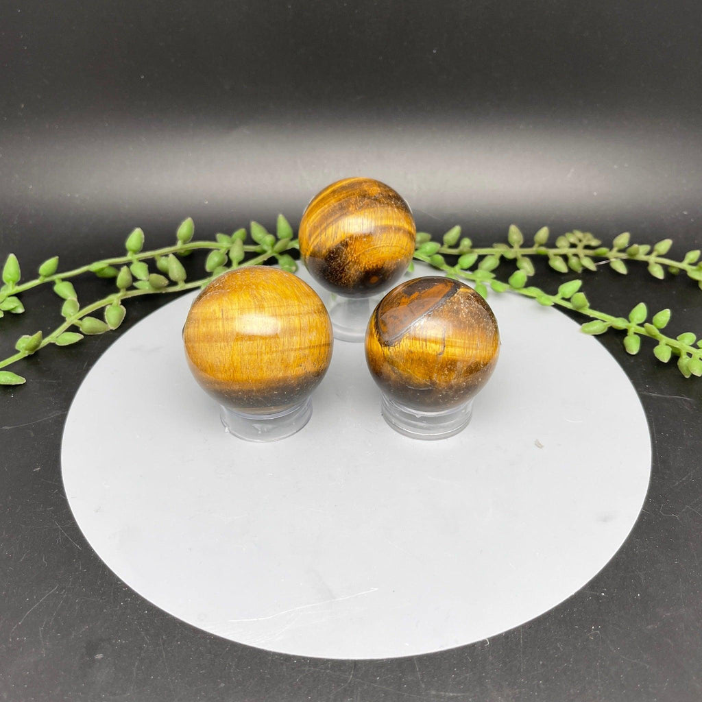 Tigers Eye Spheres - Natural Collective LLC