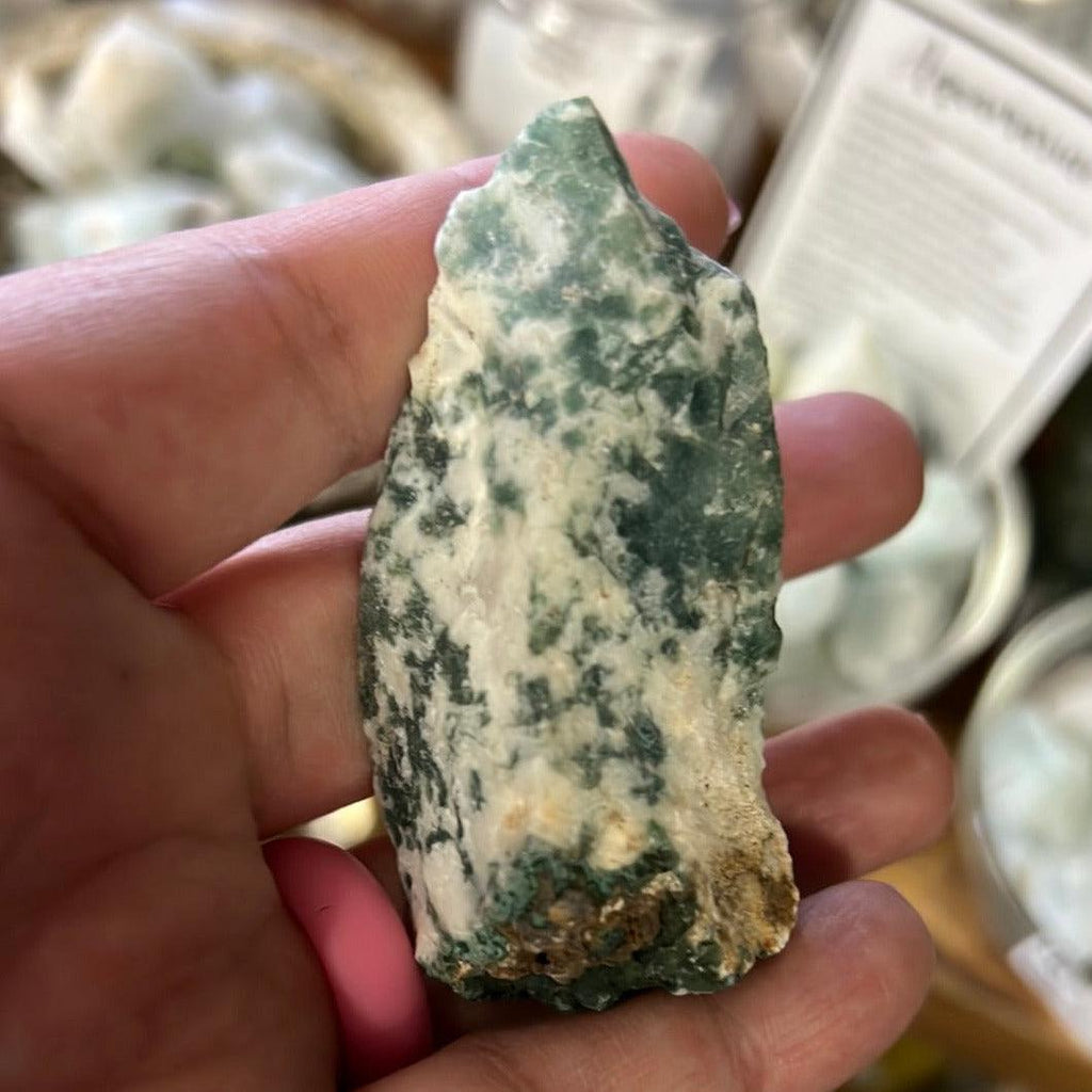 Tree Agate Rough - Natural Collective LLC