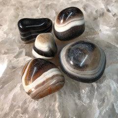 Banded Agate Tumbles - Natural Collective LLC