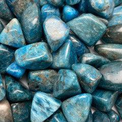 Blue Apatite Tumbles - Natural Collective LLC