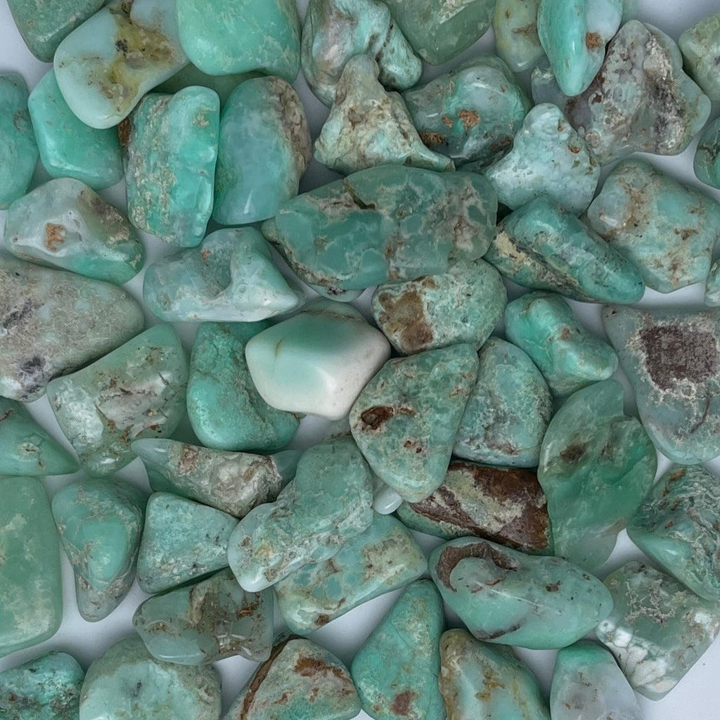 Chrysoprase Tumbles - Natural Collective LLC