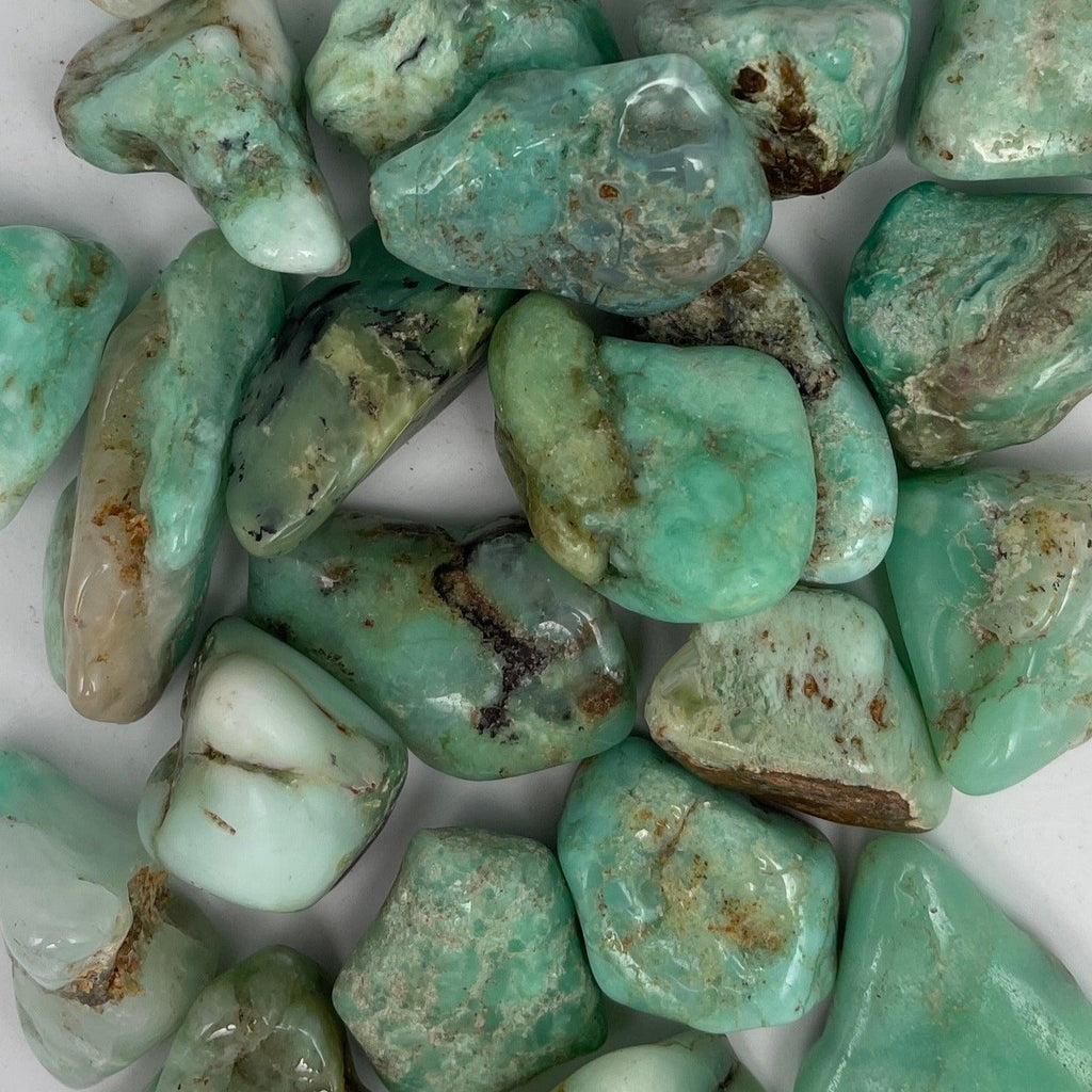 Chrysoprase Tumbles - Natural Collective LLC