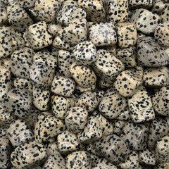 Dalmatian Jasper Tumbles - Natural Collective LLC