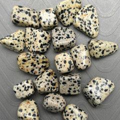 Dalmatian Jasper Tumbles - Natural Collective LLC