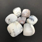 Dendrite Opal Tumbles - Natural Collective LLC