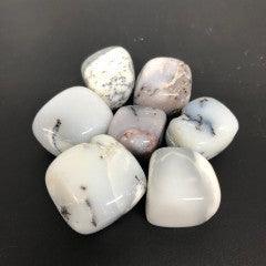 Dendrite Opal Tumbles - Natural Collective LLC