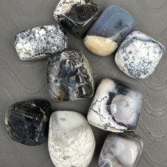 Dendrite Opal Tumbles - Natural Collective LLC