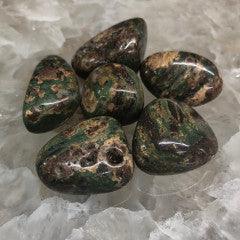 Green Leopard Skin Jasper Tumbles - Natural Collective LLC