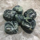 Kambaba Jasper Tumbles - Natural Collective LLC