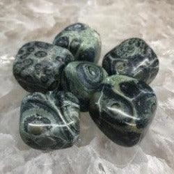 Kambaba Jasper Tumbles - Natural Collective LLC