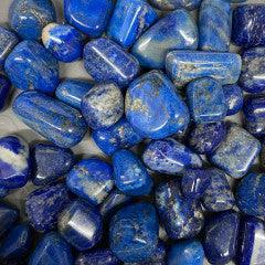 Lapis Lazuli Tumbles - Natural Collective LLC