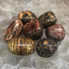 Leopard Skin Jasper Tumbles - Natural Collective LLC