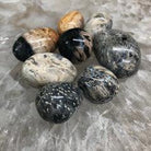 Palm Root Tumbles - Natural Collective LLC
