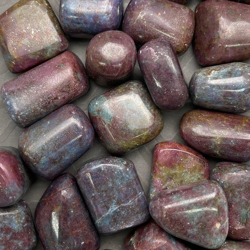 Ruby in Kyanite Tumbles - Natural Collective LLC