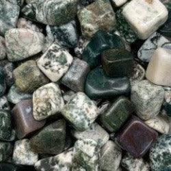 Tree Agate Tumbles - Natural Collective LLC