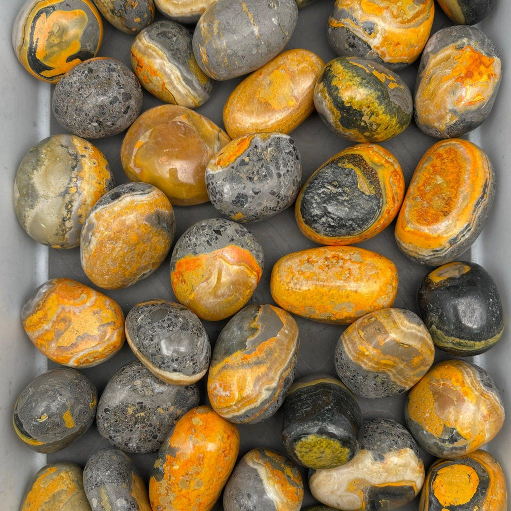 Tumbled Bumblebee Jasper - Natural Collective LLC