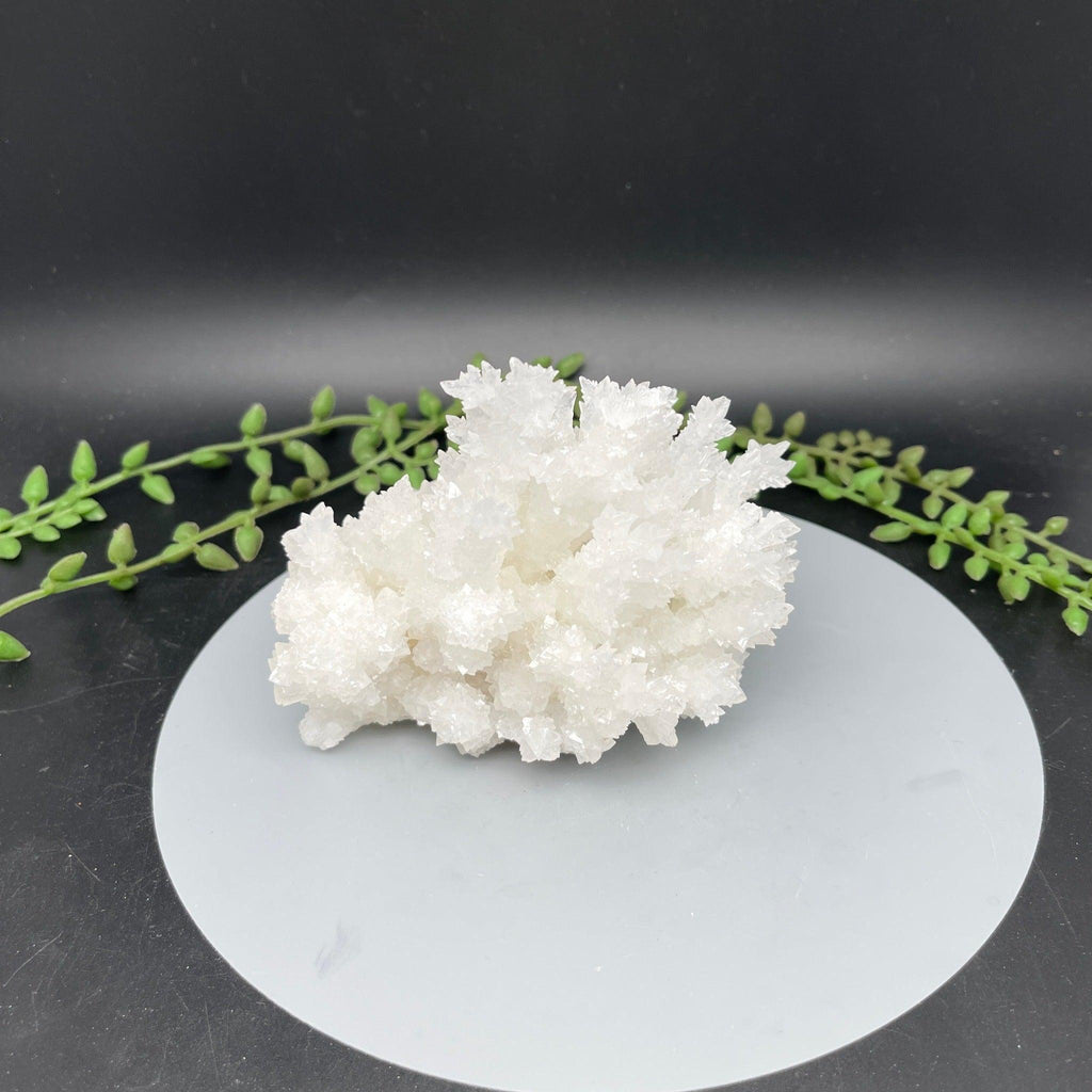 White Aragonite Clusters - 0.540 kg - Natural Collective LLC
